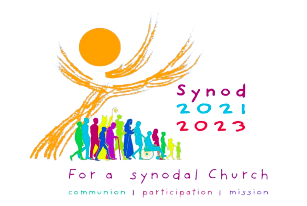 synod 22 23
